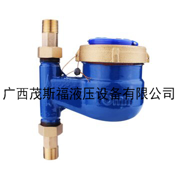 北京立式水表