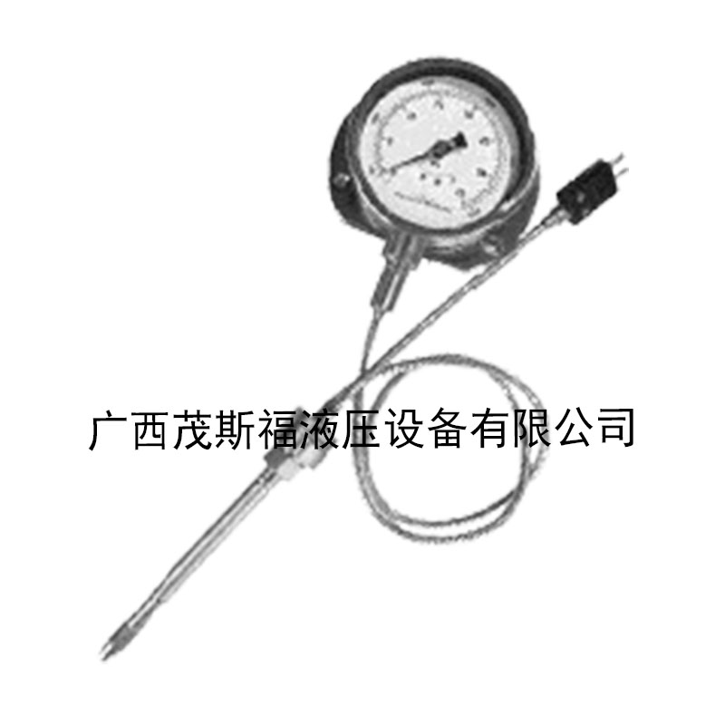 北京带表头型温度压力一体高温熔体传感器