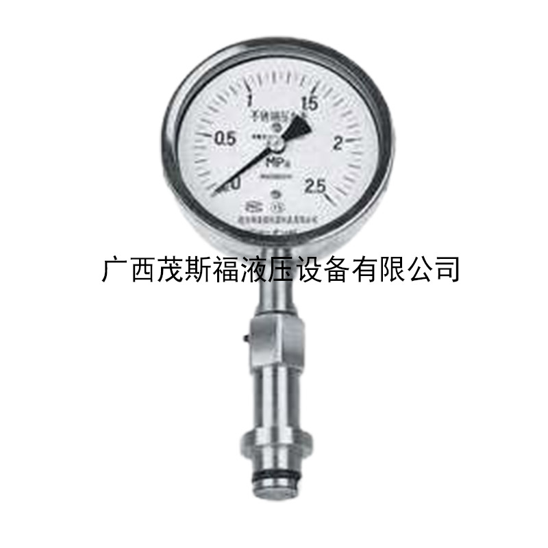 北京YTP系列卫生型隔膜压力表 