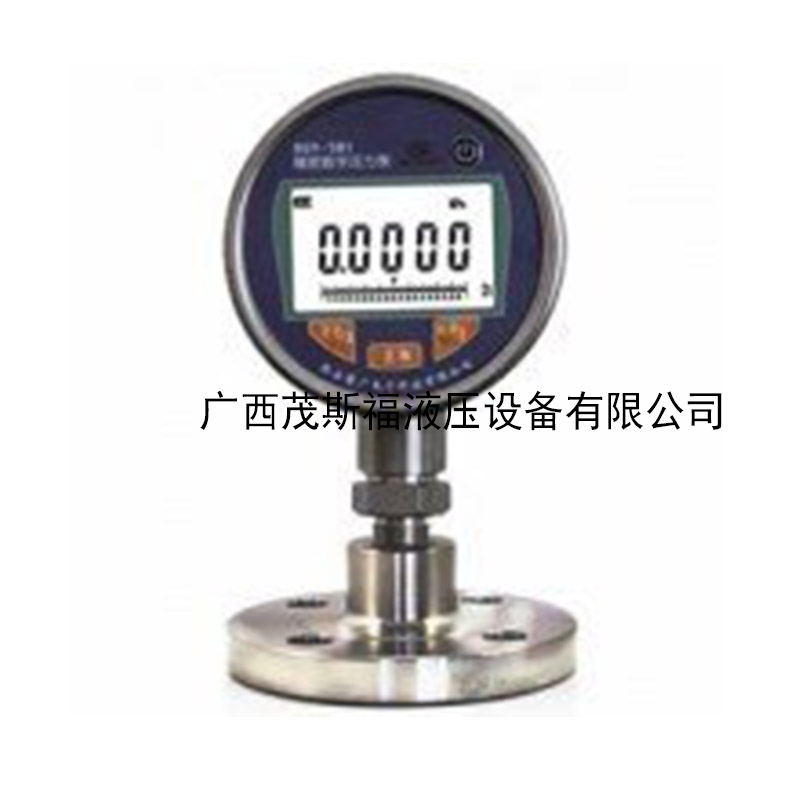 北京RJ-301法兰隔膜式数字压力表 