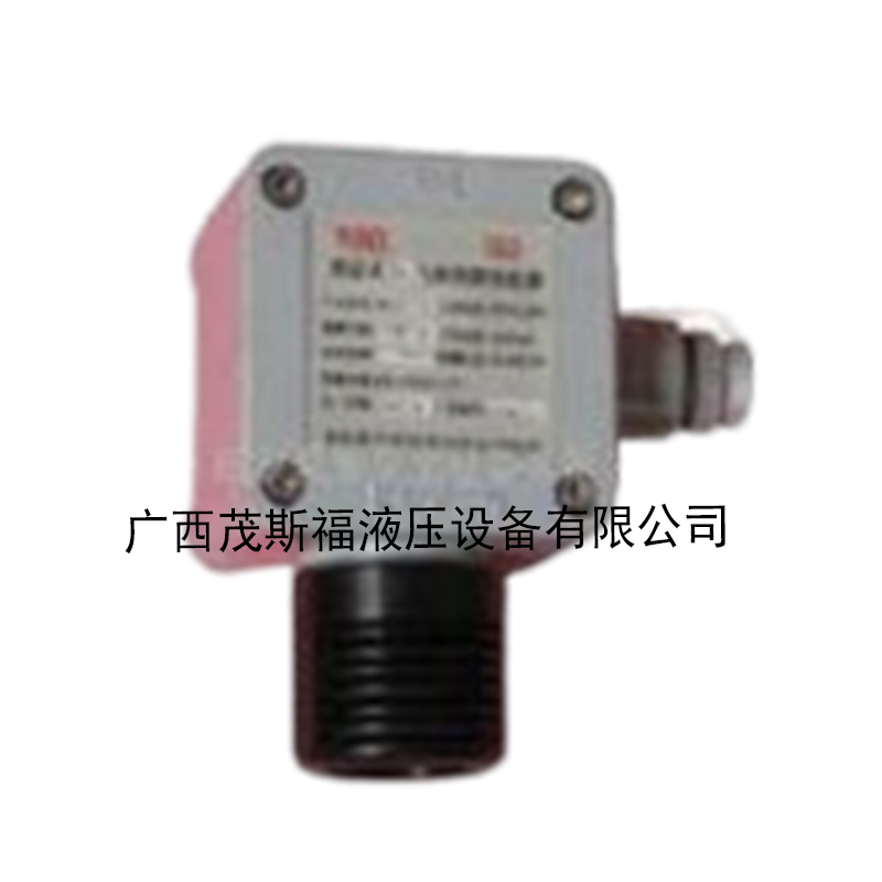 北京气体检测变送器HL-1100 