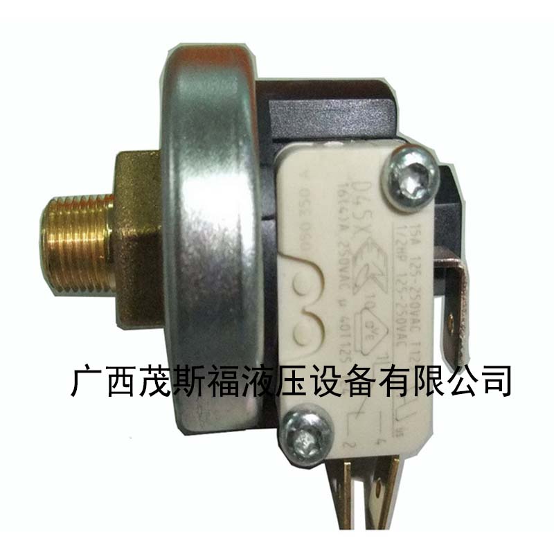 北京XP110系列高压蒸汽压力开关 